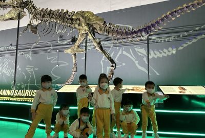 IMG_2530-scaled-1