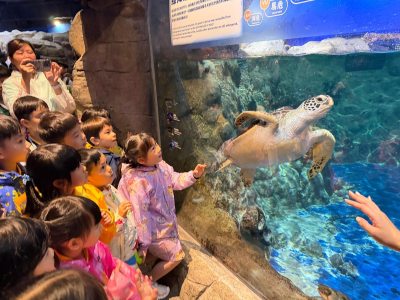 K3 海洋公園自然體驗日